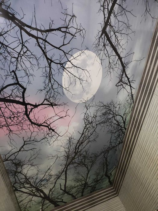 Натяжные потолки от профи натижной паталок установка чистка монтаж