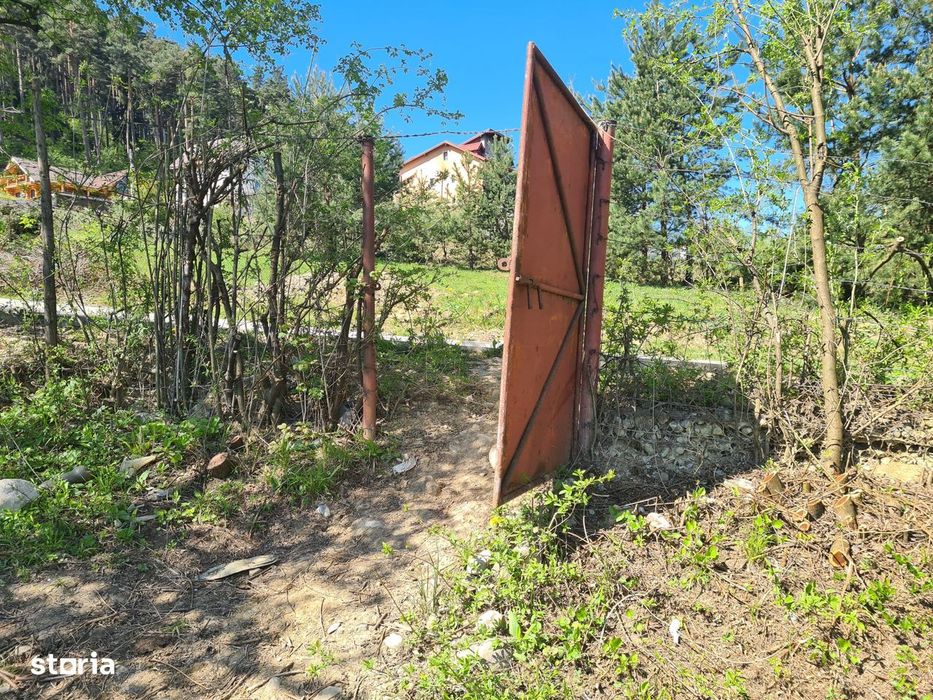 Teren deosebit - 1500 mp, Poiana Angelescu, Str. Livezii