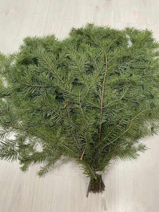 Ветки(лапки) ПИХТОВЫЕ