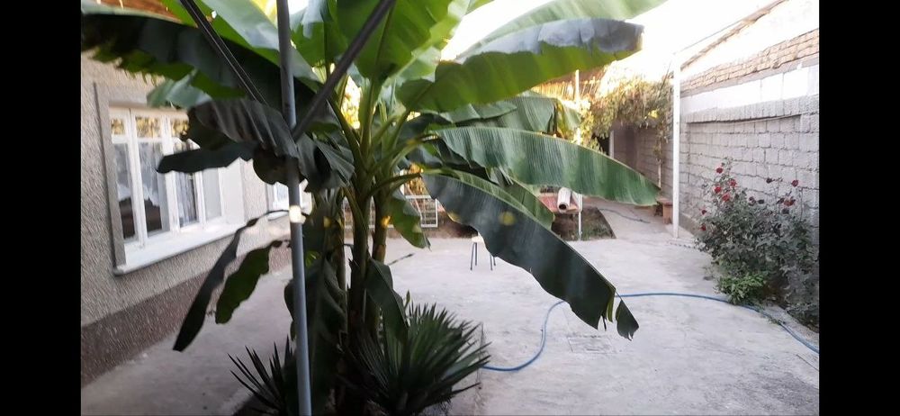 Учаска чирчик бахова жой шахар марказида