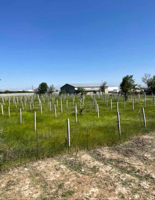 Беталды қадалар. Шпаллерлер. Стойка