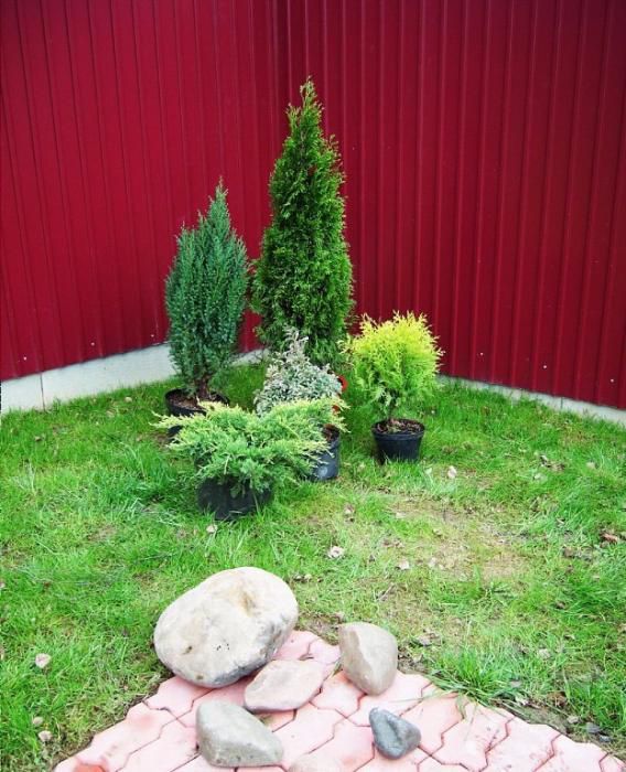 Садовник sadovnik богбон bogbon боғбон удобрение дезинфекция