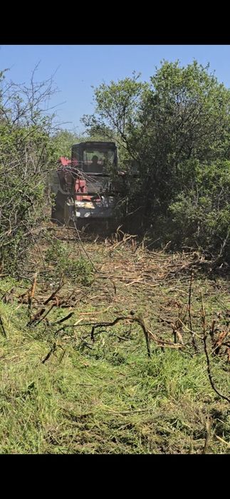 Închiriez utilaje Curățire terenuri de ambrozie,  vegetație