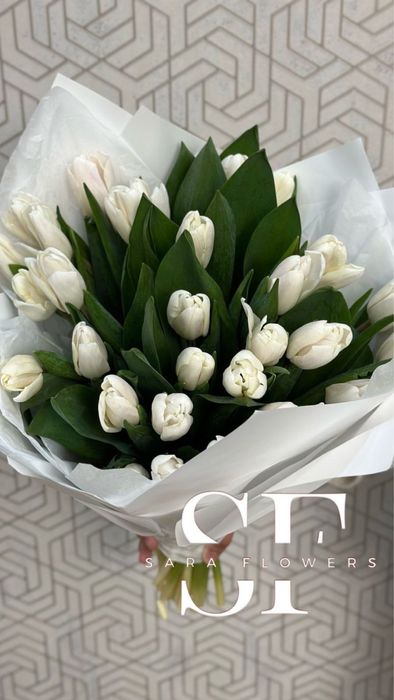 Оптовая продажа тюльпанов