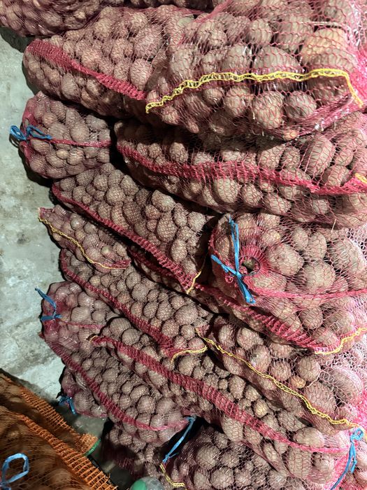 Cartofi pentru animale