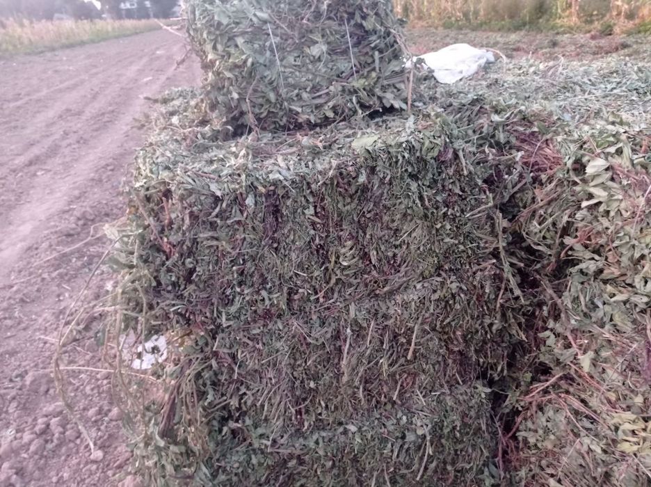 Yeryong'oq presi sotiladi kelishamiz