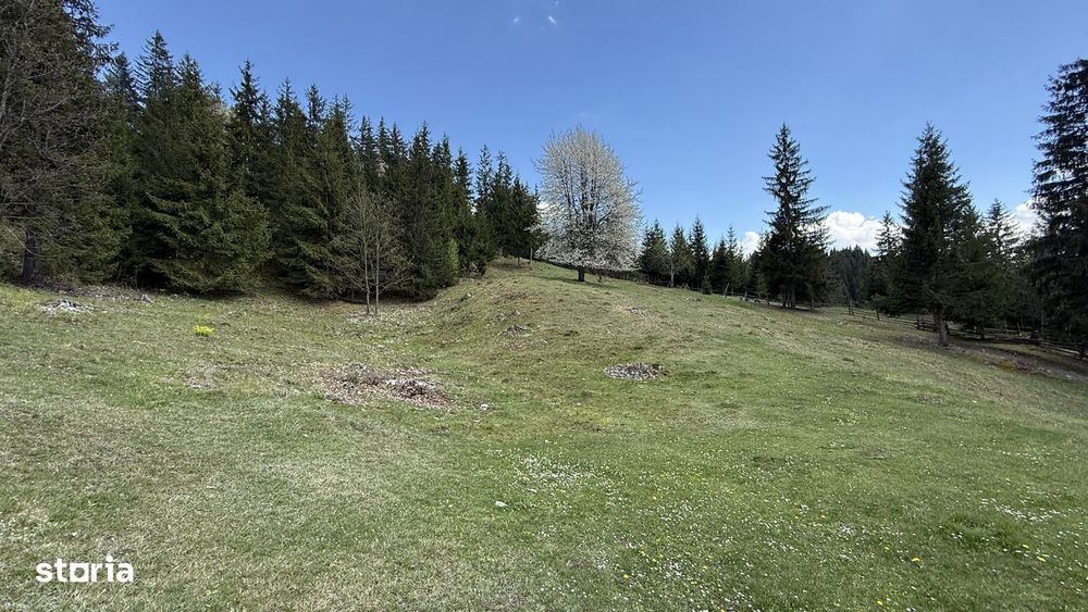 Teren 1.29 ha + 1 ha pădure, acces ușor