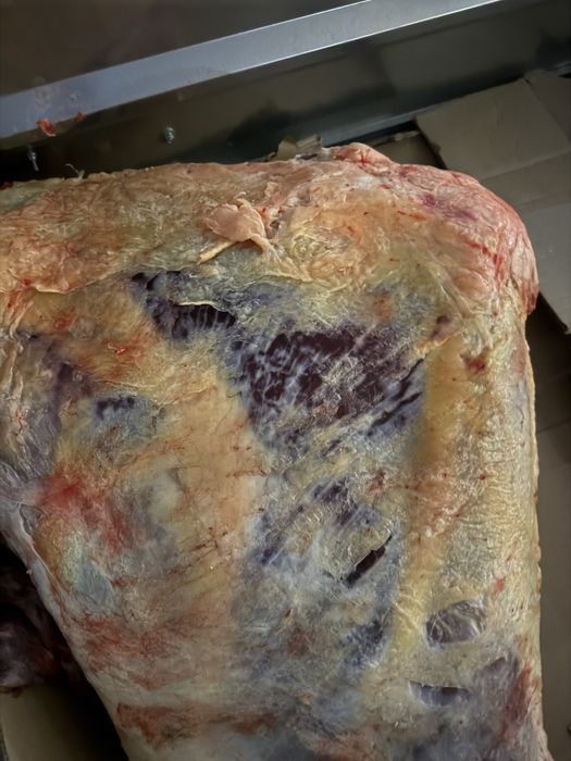 Семиз кунажын кашар бар 3300 тг