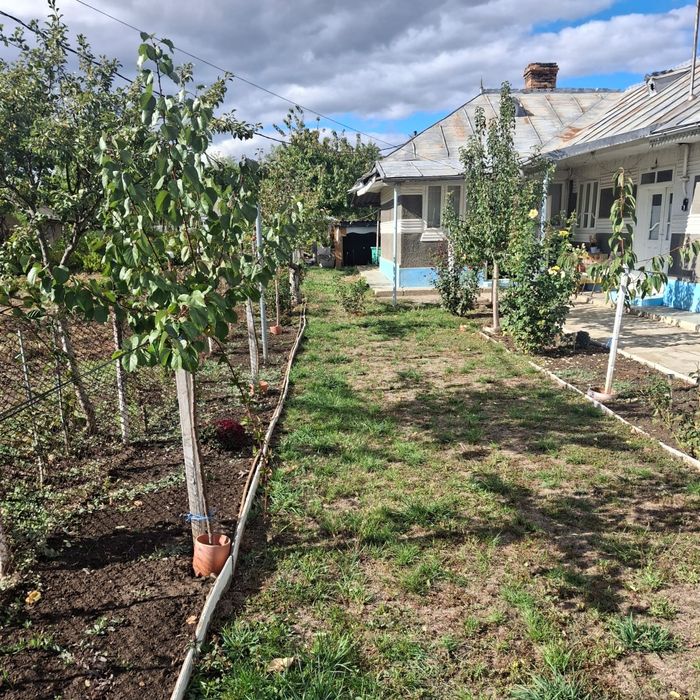 CASA Comuna Vetrisoaia, sat Vetrisoaia