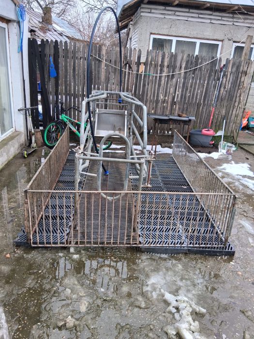 Boxa galvanizata  pentru fatare scroafe