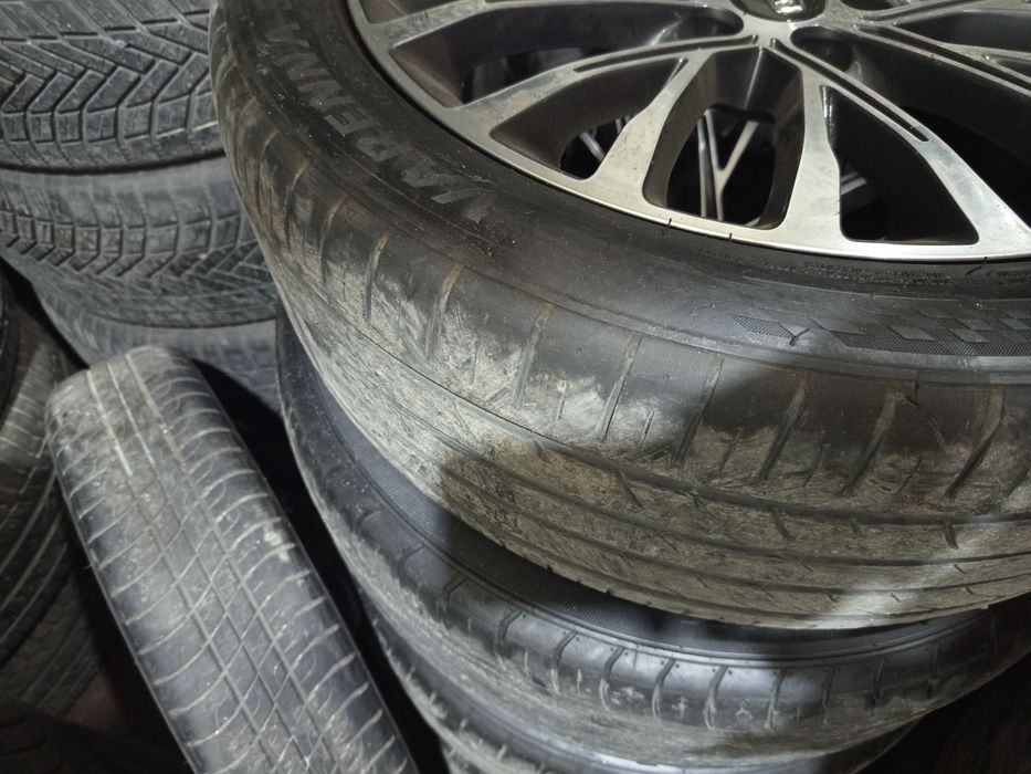 Bestium moshinani arginal diskasi