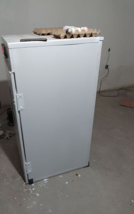 Инкубатор 350 талик (выводной 700)