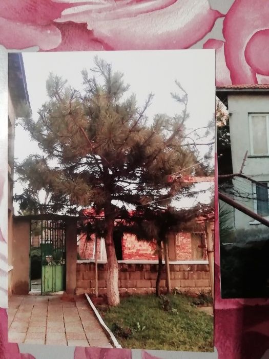 Продава се Къща в с. Млекарево, Област Сливен - 200 кв.м за 90 €/кв.м - Снимка #3