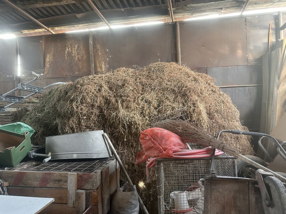 Продам сено скерда