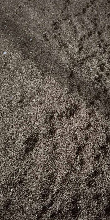 Продавам 10тона пшеница/жито