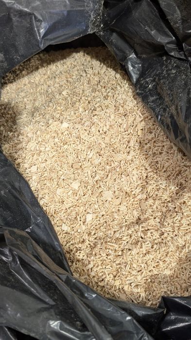 Чисти букови трици