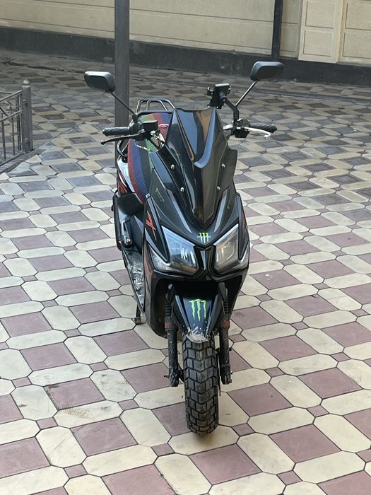 Самурай лия 2024