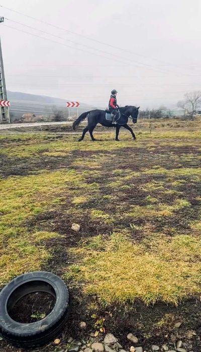 Echitație, lecție de manej