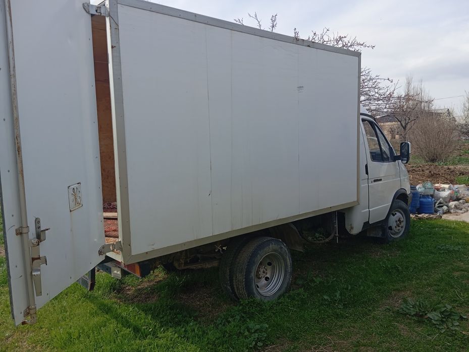 Gazel bortli holati yaxshi