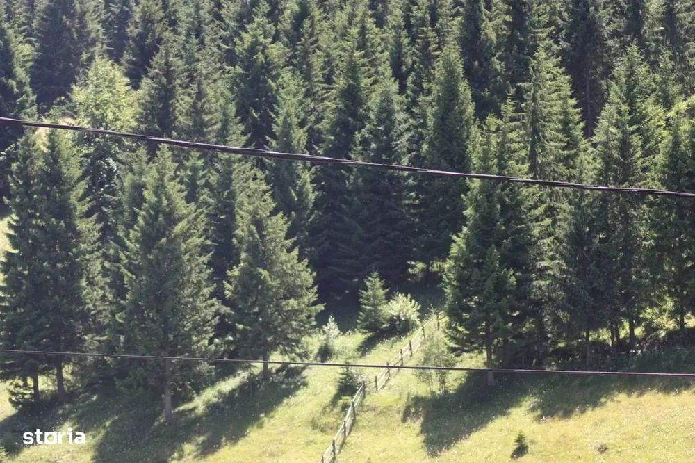 Teren Intravilan De Vanzare | Comuna Fundata | Fundatica | Brasov