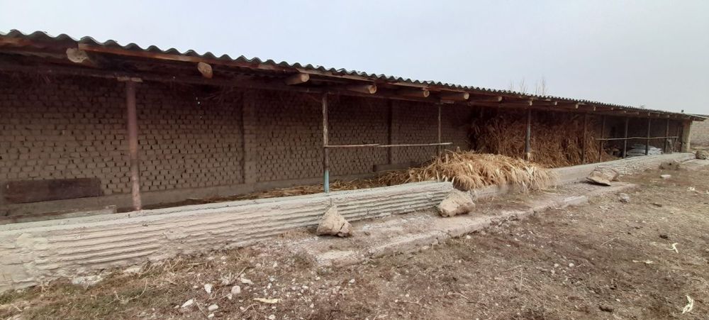 Dala hovli Ferma (45 sotix) Oldida Suv Oqib otgan