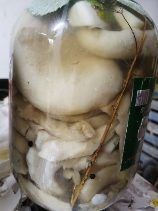 Маринованные грибы