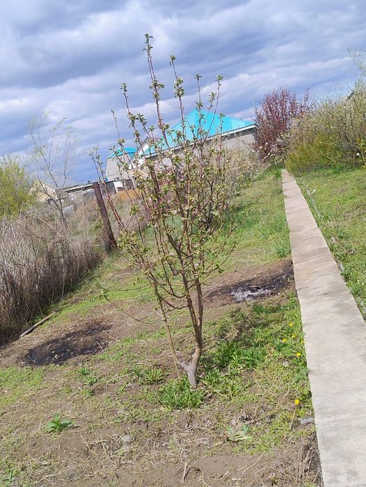 Продам большой дом