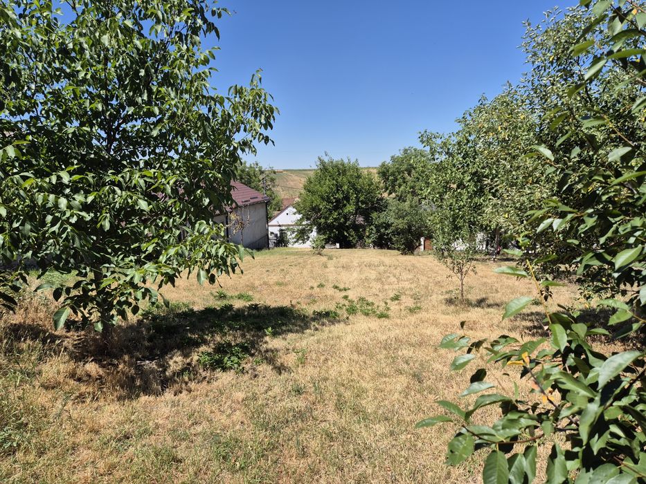 Casă săsească de vânzare – Zăbrani, Arad