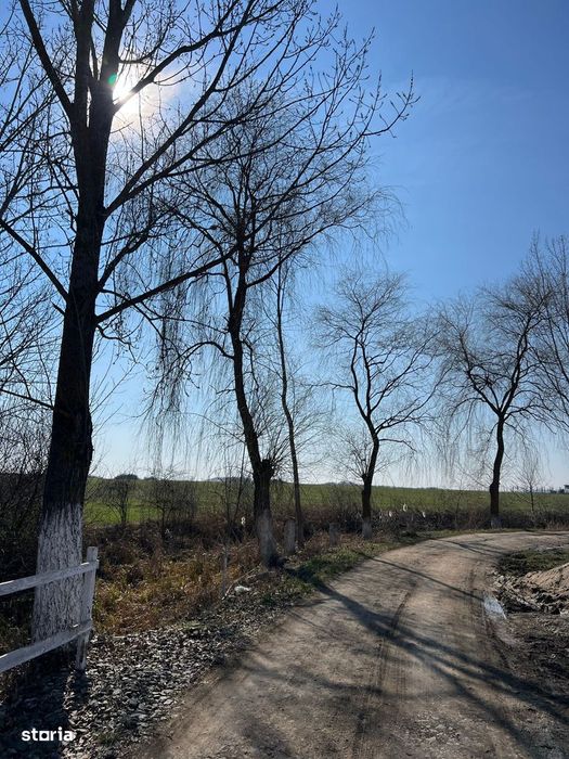 Case Noi Tip P 3 Dormitoare Madaras