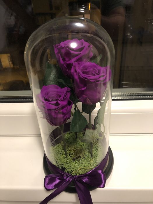 Buchet 3 criogenati in cupola cristalina 250 lei