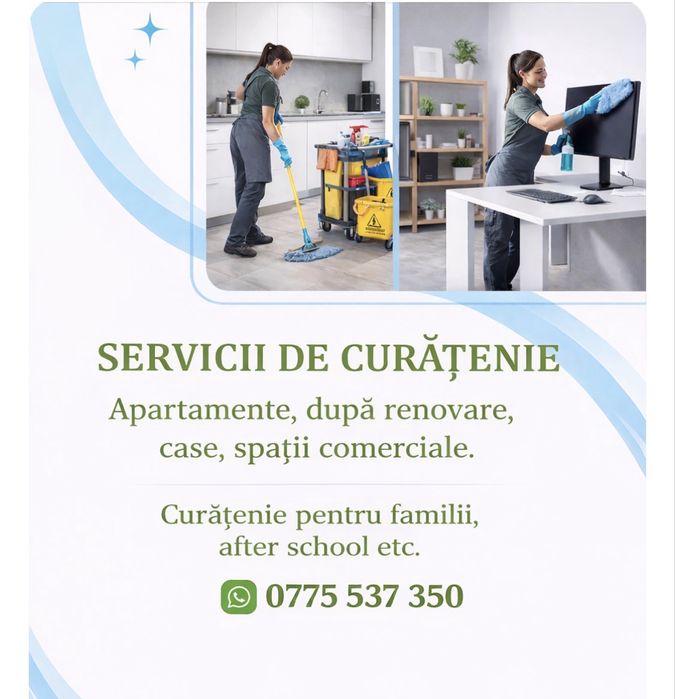 Curatenie la domiciliu