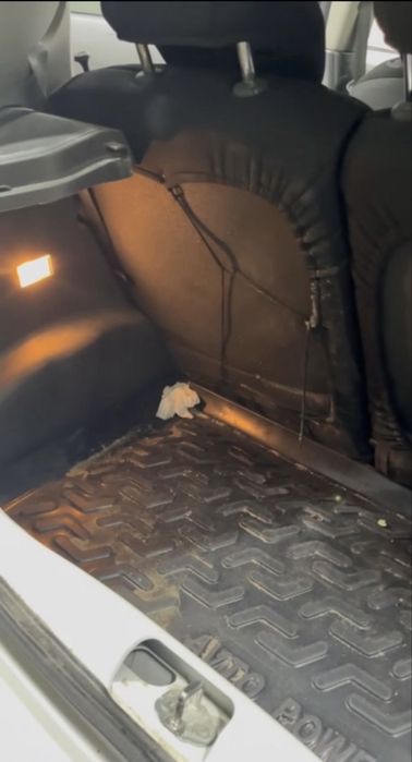 Detailing ximchistka tanirofka laminatsiya UCHTEPADA
