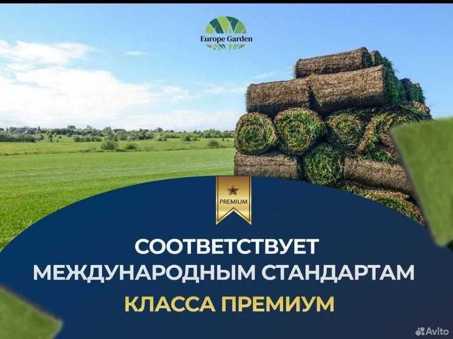 Озеленение участка посадка туй елей газон автополив