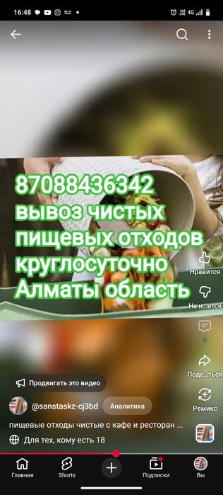 услуги платно по регулярному вывозу 24/7 пищевых отходов с ресторанов