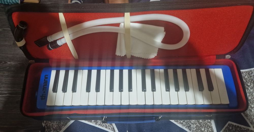 Instrumente muzicale