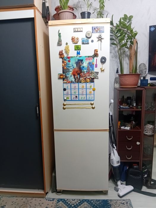 Холодильник Snaige.