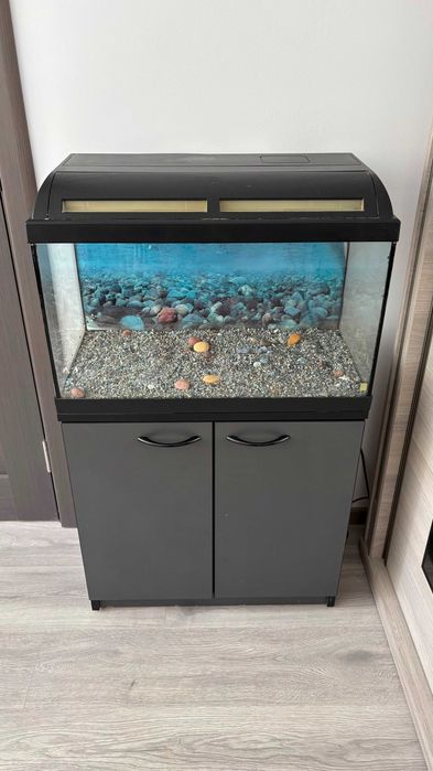 Acvariu 63L cu mobilier – stare foarte bună
