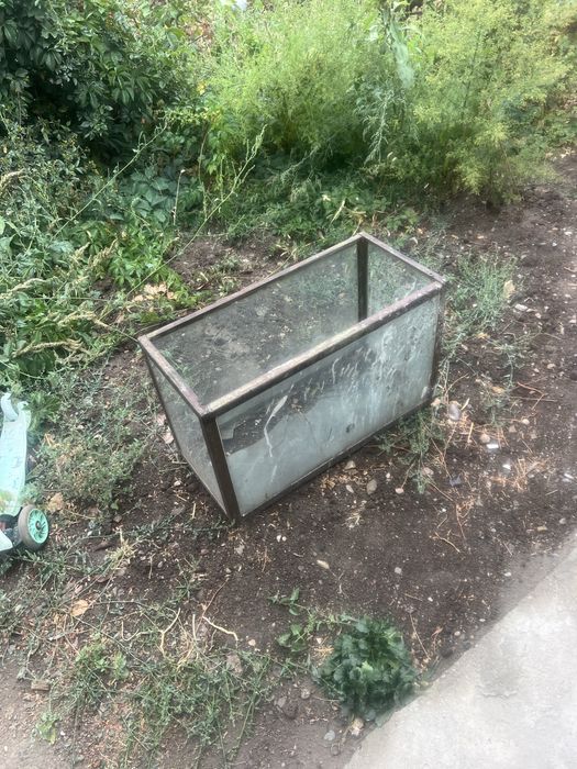 Аквариум советских времен.