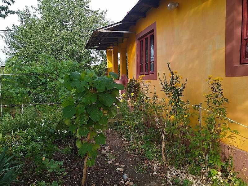 Vand casa teren 6100mp 4 camere Constantinesti-Scornicesti 45.000 euro