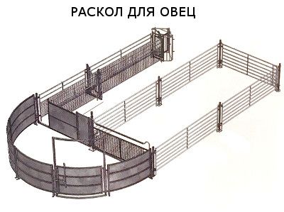 Раскол для крс, мрс