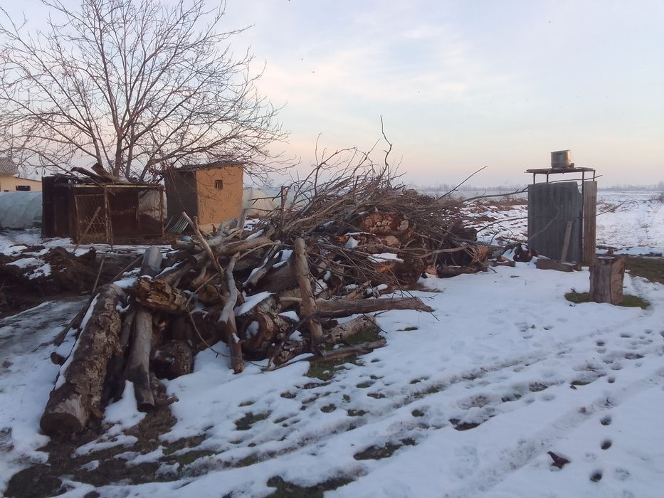 Otin sotiladi, келиштириб бераман