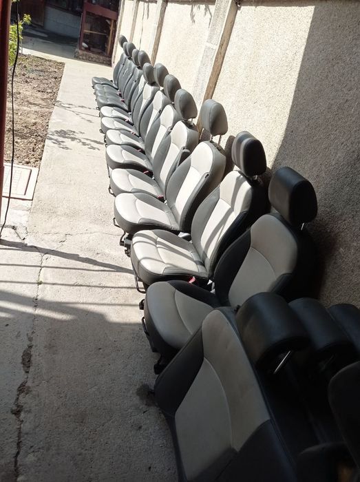 Sideniya spark kojini