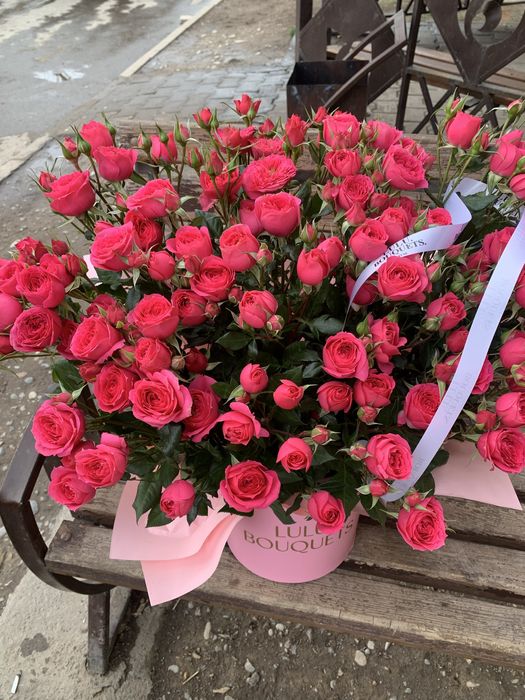 Цветы кусотвые продаю срочно