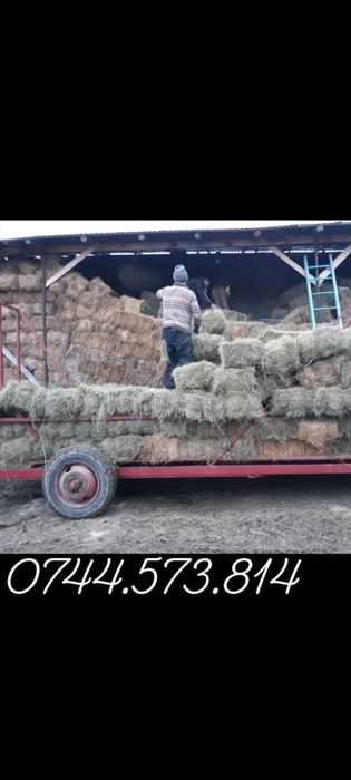 Baloti fan.Rot.20-40.drept.500.TIR Sau lucerna.Transport inclus.RO