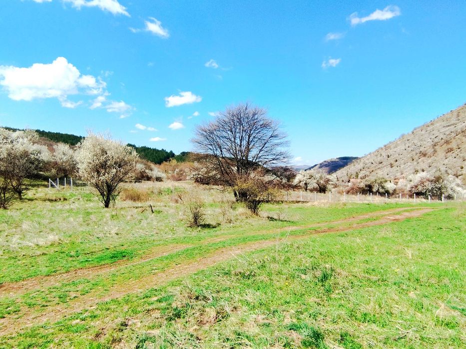 Продава се Парцел в с. Боснек, Област Перник - 458 кв.м за 41 €/кв.м - Снимка #1