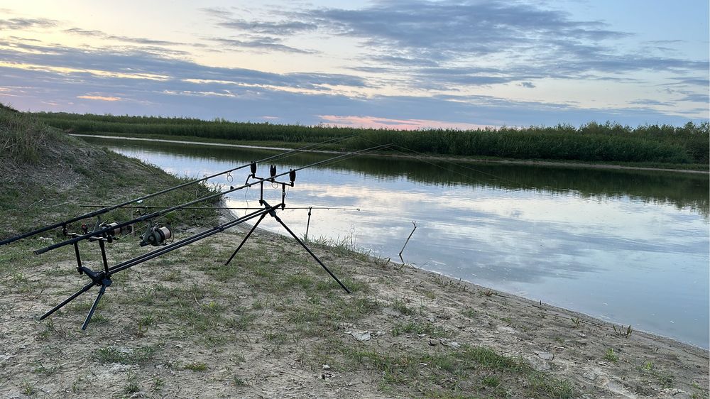Rod pod Avid Carp Lok Down Altitude+ lansete Prologic+avertizori Prolo