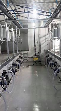 Доилна инсталация - Доилни части - Доилни системи - Доилен агрегат