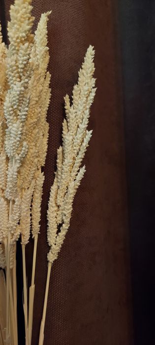 Колосья для интерьера. Сухоцветы.