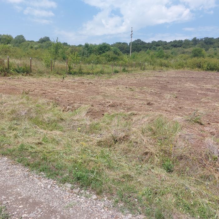 Teren de vanzare Livezeni