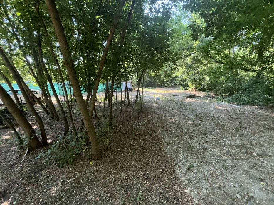 Vand Cladire intrare comuna breasta